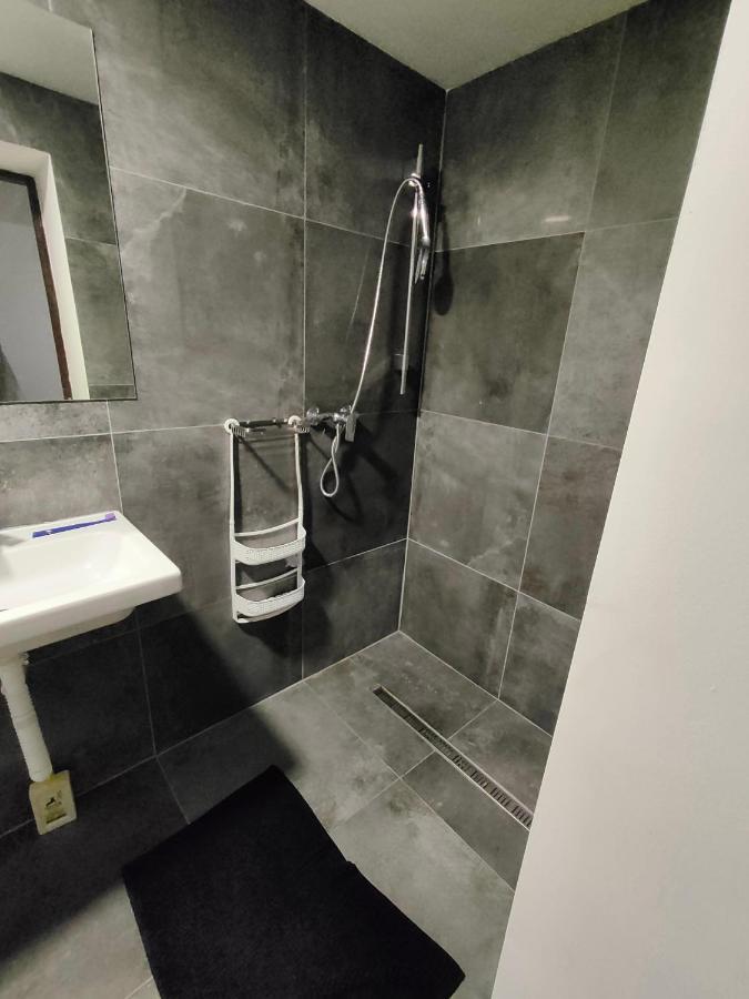 Apartmany Na Ceste Desná Eksteriør billede