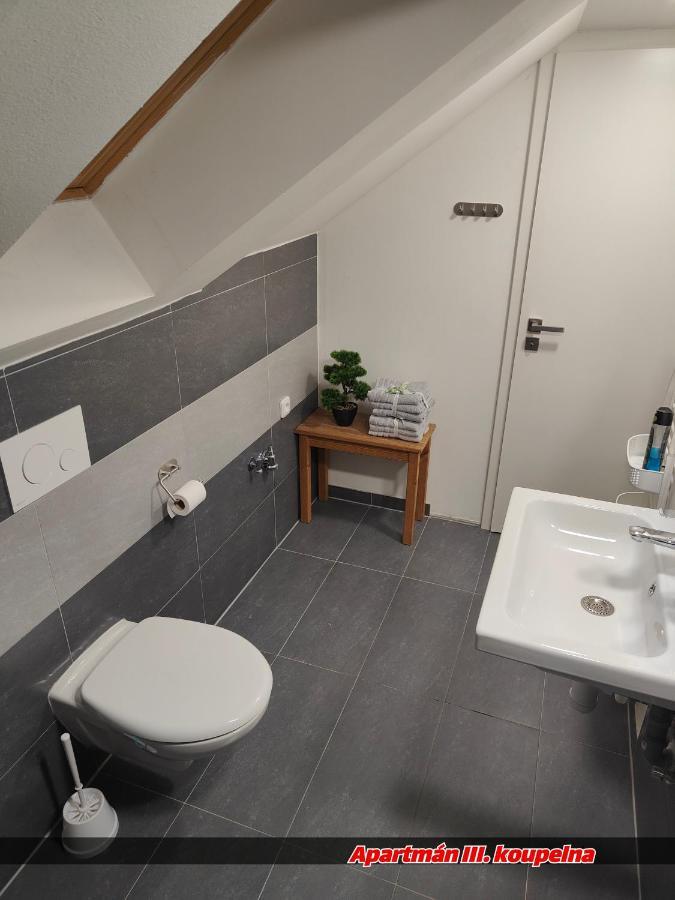 Apartmany Na Ceste Desná Eksteriør billede